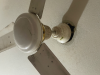 BRB selling fan